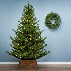 ნაძვის ხე