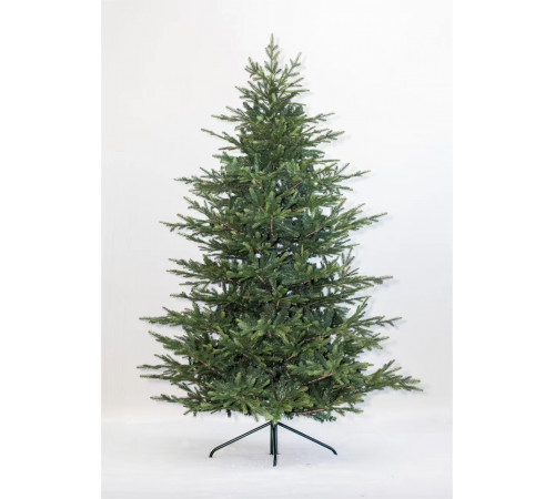 ნაძვის ხე FRASER FIR 180 სმ (გერმანია) ნაძვის ხე FRASER FIR 180 სმ (გერმანია)