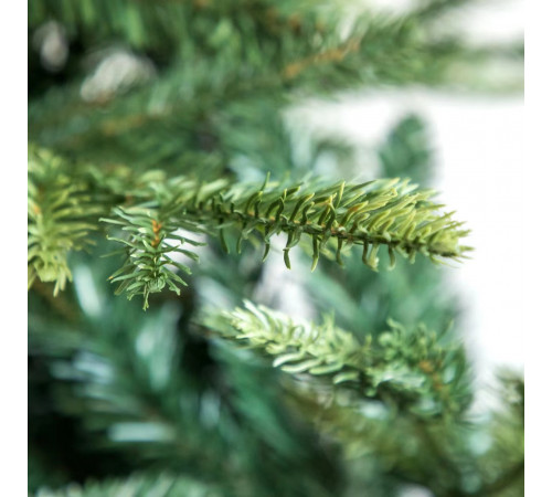 ნაძვის ხე FRASER FIR 210 სმ (გერმანია) ნაძვის ხე FRASER FIR 210 სმ (გერმანია)