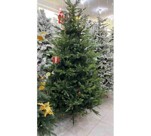 ნაძვის ხე FRASER FIR 210 სმ (გერმანია) ნაძვის ხე FRASER FIR 210 სმ (გერმანია)