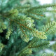 ნაძვის ხე FRASER FIR 210 სმ (გერმანია)