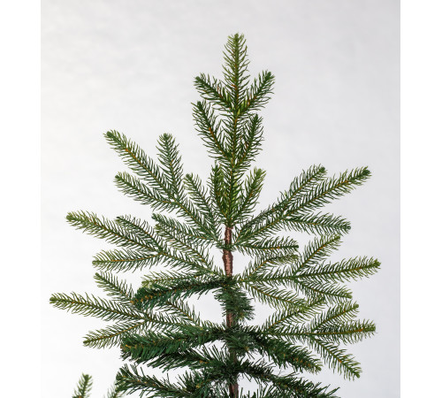 ნაძვის ხე FRASER FIR 210 სმ (გერმანია) ნაძვის ხე FRASER FIR 210 სმ (გერმანია)