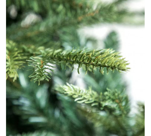 ნაძვის ხე FRASER FIR 210 სმ (გერმანია) ნაძვის ხე FRASER FIR 210 სმ (გერმანია)
