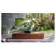 ტელევიზორი Samsung QE75Q800TAUXRU