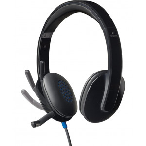 ყურსასმენი Logitech H540 (L981-000480)