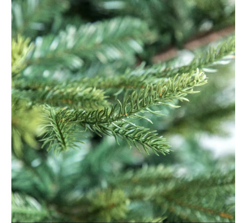 ნაძვის ხე FRASER FIR 240 სმ (გერმანია) ნაძვის ხე FRASER FIR 240 სმ (გერმანია)