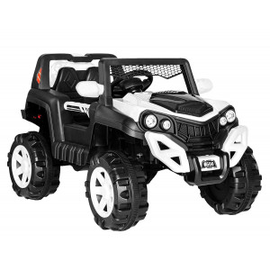 საბავშვო ელექტრო მანქანა BUGGY A6500 BW