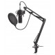 მიკროფონი Genesis Gaming Microphone Radium 300
