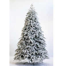 დათოვლილი ნაძვის ხე DIAMOND BLUE  210 cm  (გერმანია)