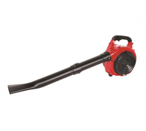 ჰაერსაბერი ბაღის ბენზინის RAIDER RD-GBV05 750W (077401) ჰაერსაბერი ბაღის ბენზინის RAIDER RD-GBV05 750W (077401)