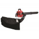 ჰაერსაბერი ბაღის ბენზინის RAIDER RD-GBV05 750W (077401)
