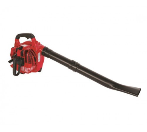 ჰაერსაბერი ბაღის ბენზინის RAIDER RD-GBV05 750W (077401) ჰაერსაბერი ბაღის ბენზინის RAIDER RD-GBV05 750W (077401)
