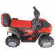 ელექტრო კვადროციკლი RZR RED