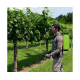 სასხურებელი Martino Garden 22 Nyplen G3021/SBL