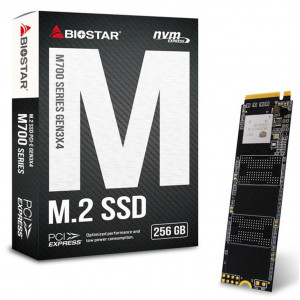 მყარი დისკი Biostar 256GB M2 (M700256GB)