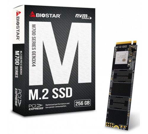 მყარი დისკი Biostar 256GB M2 (M700256GB)