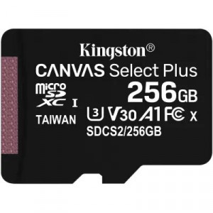 ფლეშ მეხსიერება Kingston 256GB (Single pack w/o adapter)