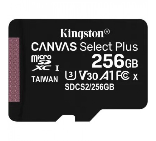ფლეშ მეხსიერება Kingston 256GB (Single pack w/o adapter) ფლეშ მეხსიერება Kingston 256GB (Single pack w/o adapter)