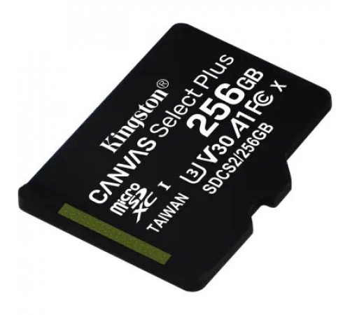 ფლეშ მეხსიერება Kingston 256GB (Single pack w/o adapter) ფლეშ მეხსიერება Kingston 256GB (Single pack w/o adapter)