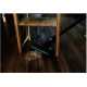 მტვერსასრუტი SENCOR SVC 7523BK Cordl.Stick Vac.Clean. SENCOR