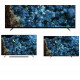 ტელევიზორი SONY 77''(196cm) OLED XR-77A80L
