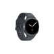 სმარტ საათი SAMSUNG Galaxy Watch 8 40mm Gray (SM-L320NDAACIS)