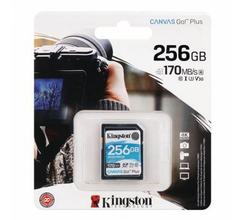 ფლეშ მეხსიერება Kingston Canvas Go Plus 256GB ფლეშ მეხსიერება Kingston Canvas Go Plus 256GB