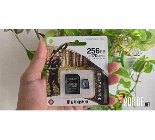 ფლეშ მეხსიერება Kingston Canvas Go Plus 256GB ფლეშ მეხსიერება Kingston Canvas Go Plus 256GB